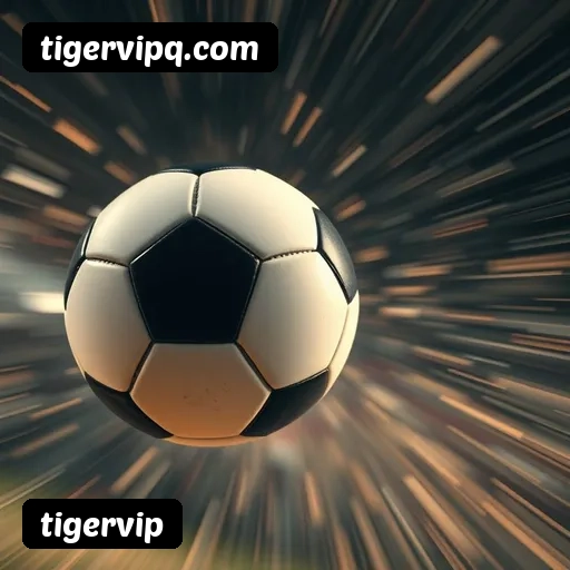 Logo da tigervip